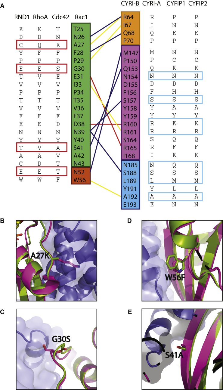 Figure 6