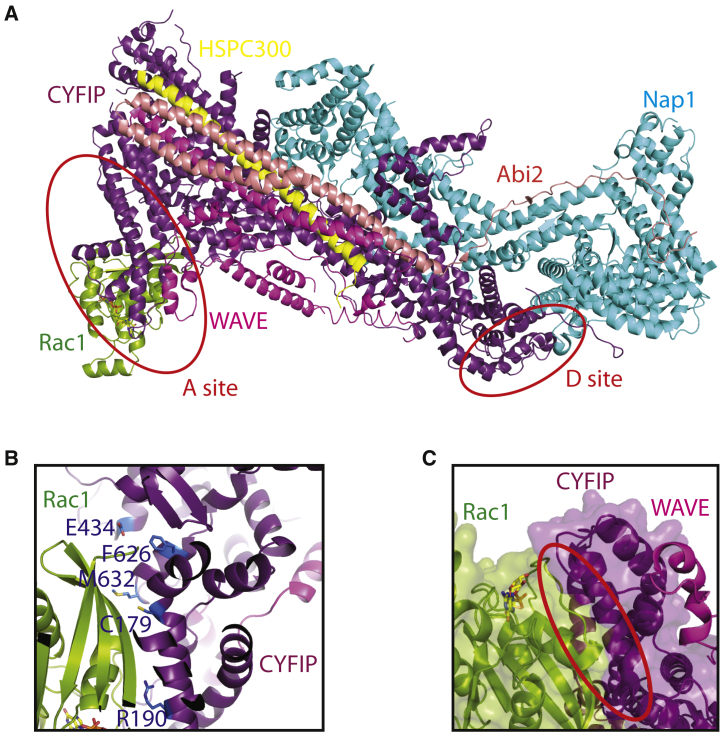 Figure 7