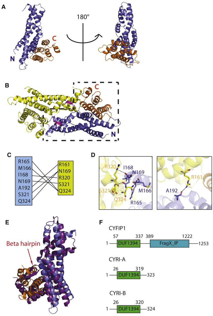 Figure 1