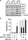 <b>Figure 5.</b>