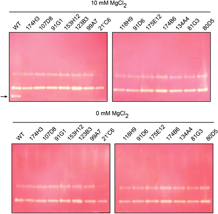 Figure 4.