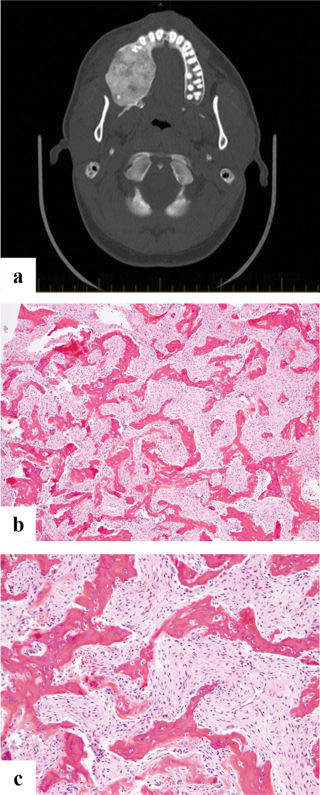 Fig. 6