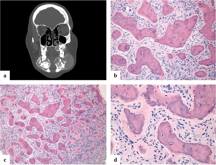 Fig. 4