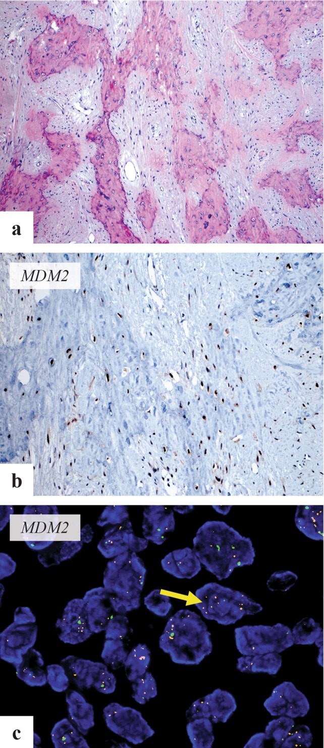 Fig. 8