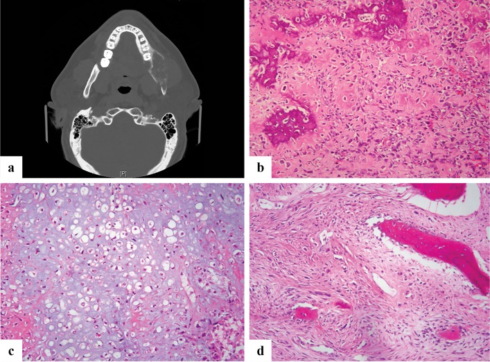 Fig. 7