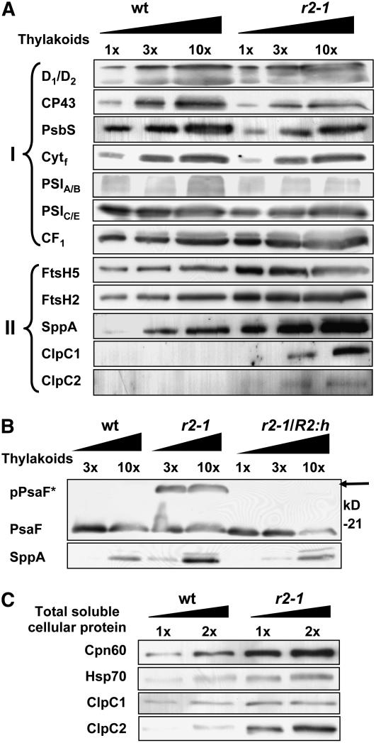 Figure 10.