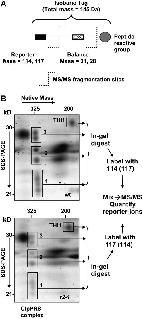 Figure 4.