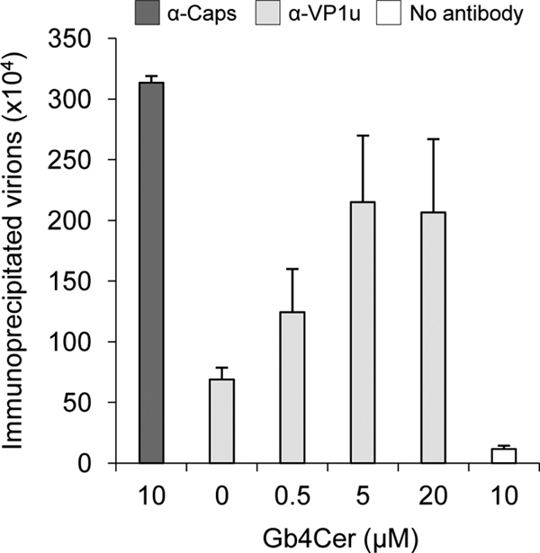 FIG. 6.