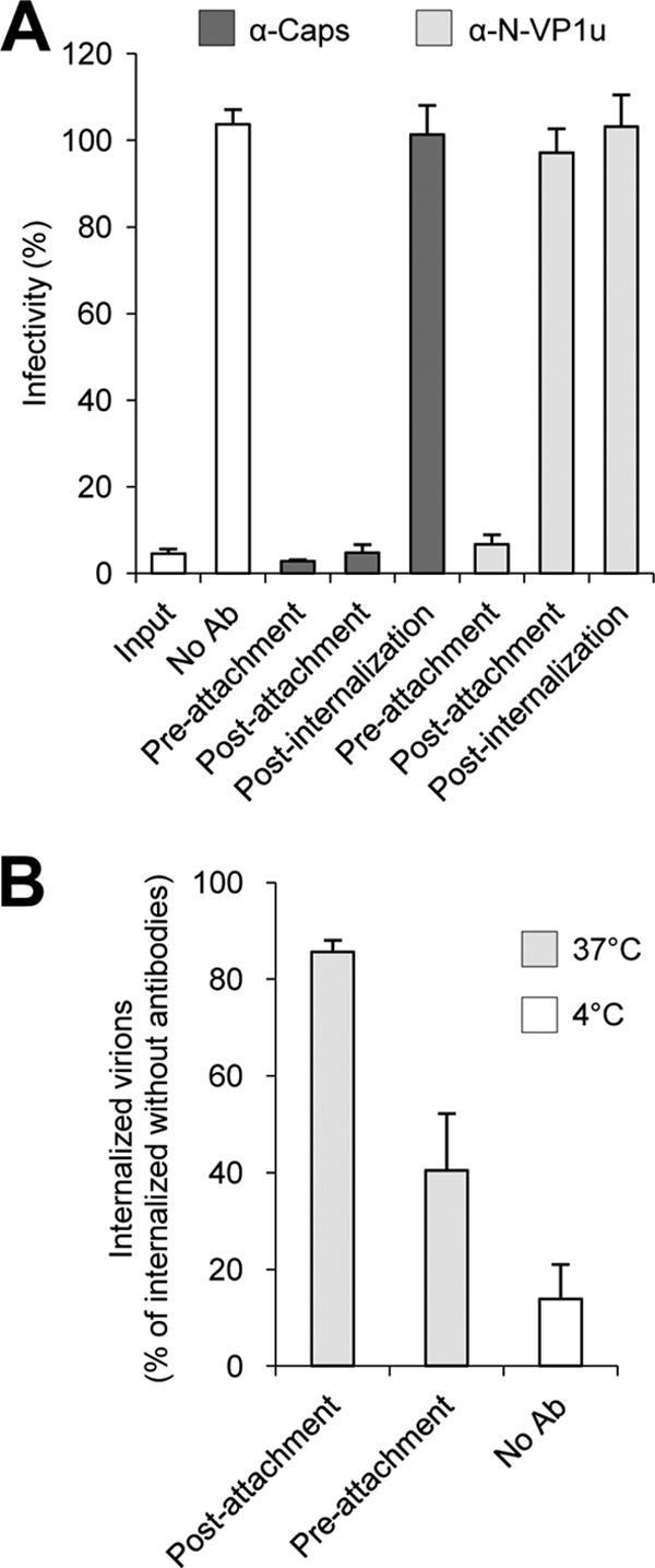 FIG. 9.