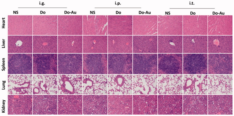 Figure 10.