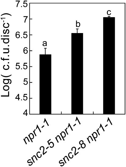 Figure 5.