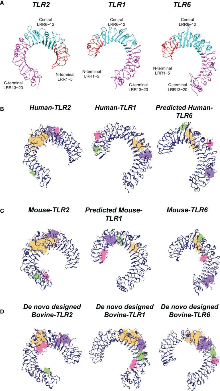 Figure 6