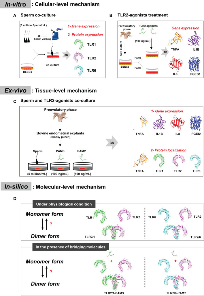 Figure 1