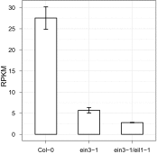 Figure 4—figure supplement 2.