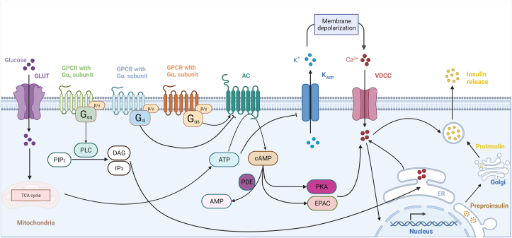 Figure 1