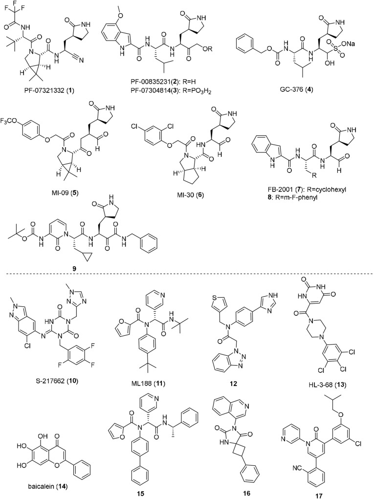 Fig. 1