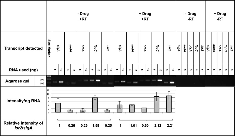 Fig 5