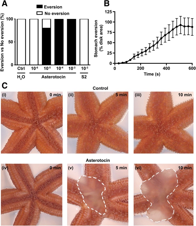 Fig. 8