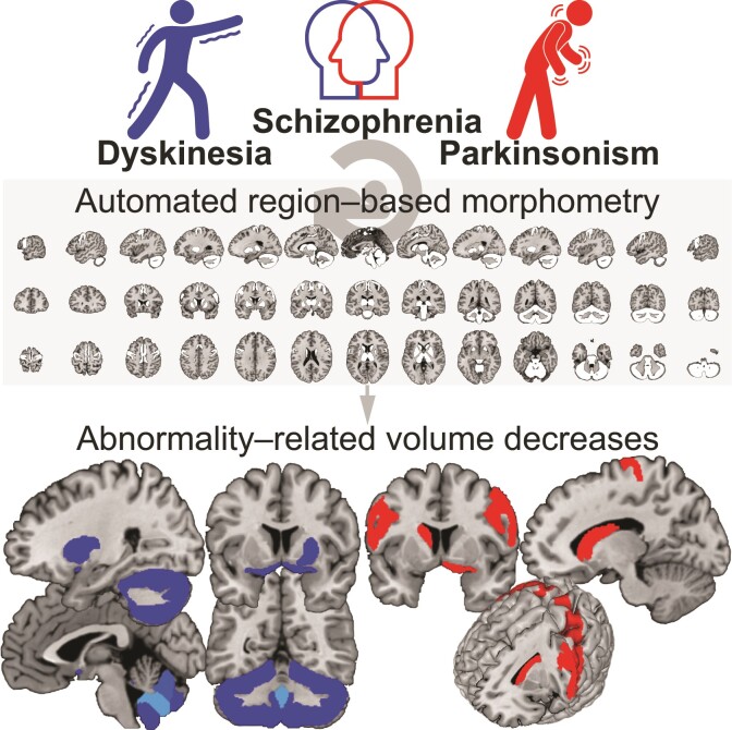 Graphical abstract