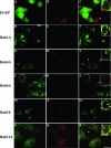 FIG. 4.