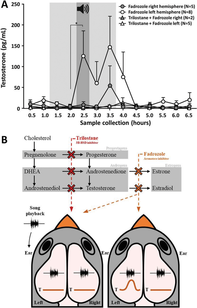 Figure 5: