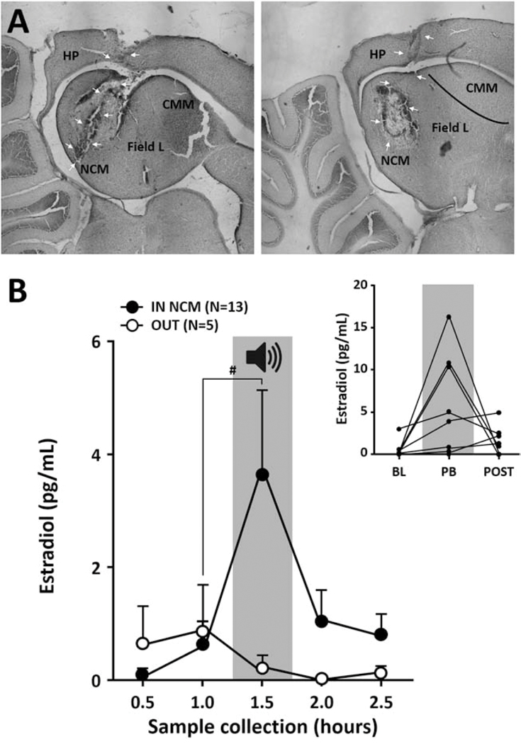 Figure 3: