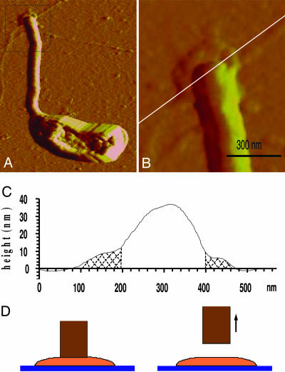 Fig. 3.