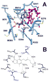 Figure 13