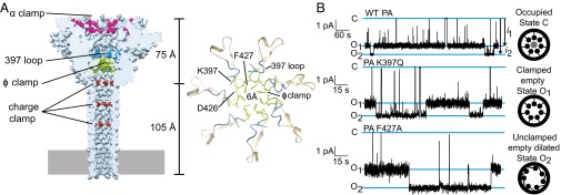 Fig. 1.