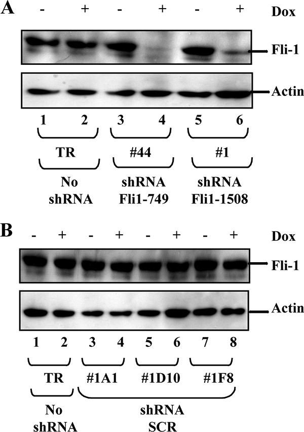 FIG. 5.