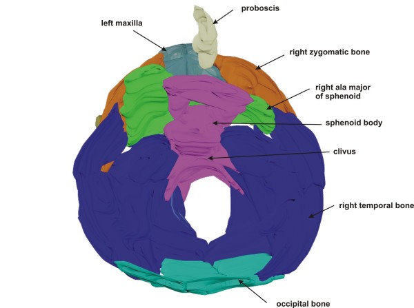 Figure 5