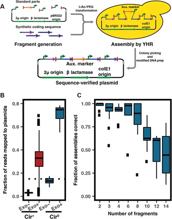 Fig. 4