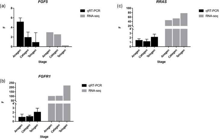 Figure 4