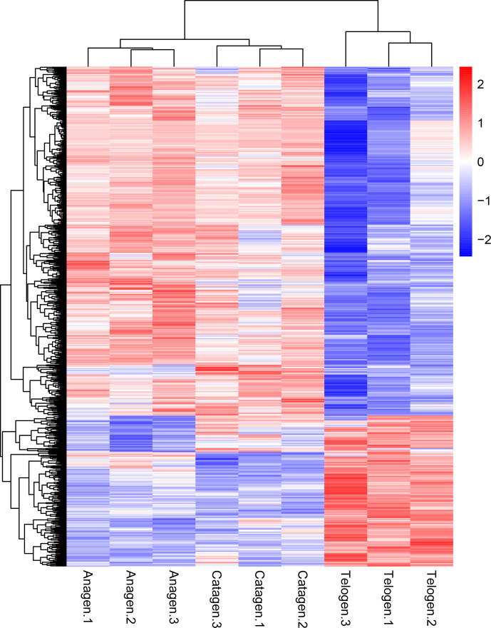 Figure 2