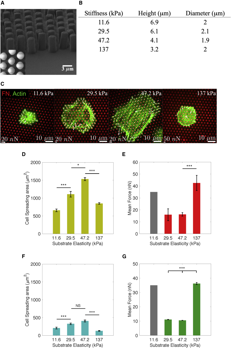 Figure 3