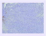 <b>Figure 5.</b>