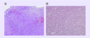 <b>Figure 4.</b>