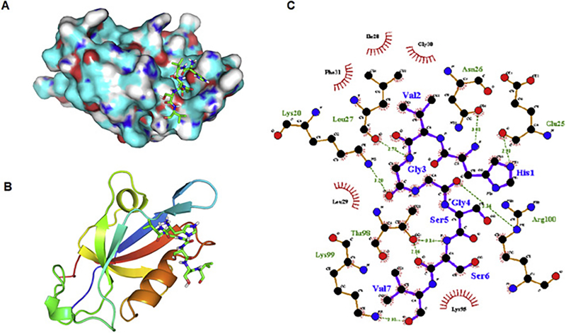 Figure 1.