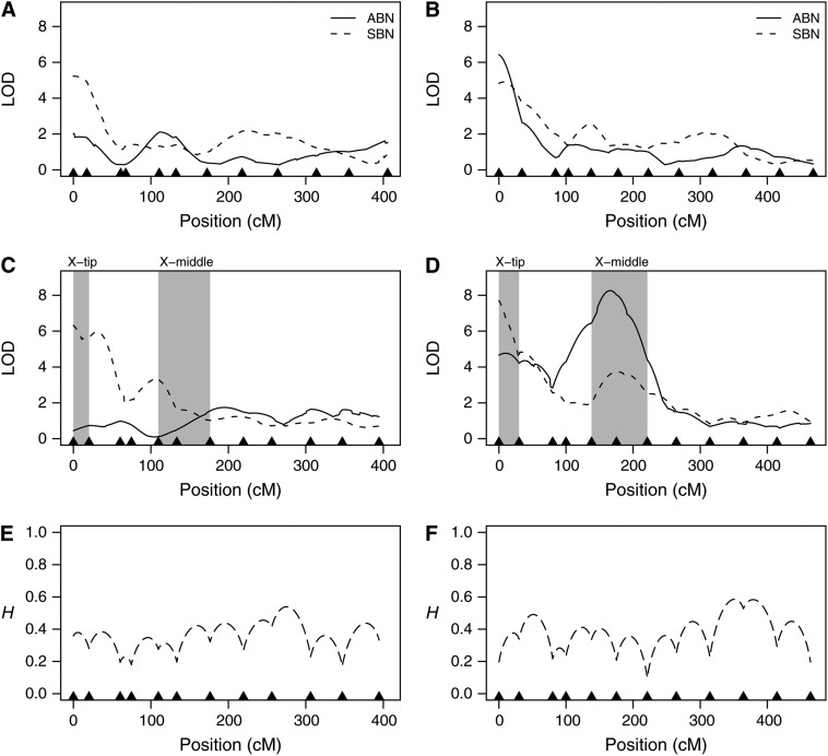 Figure 4.—