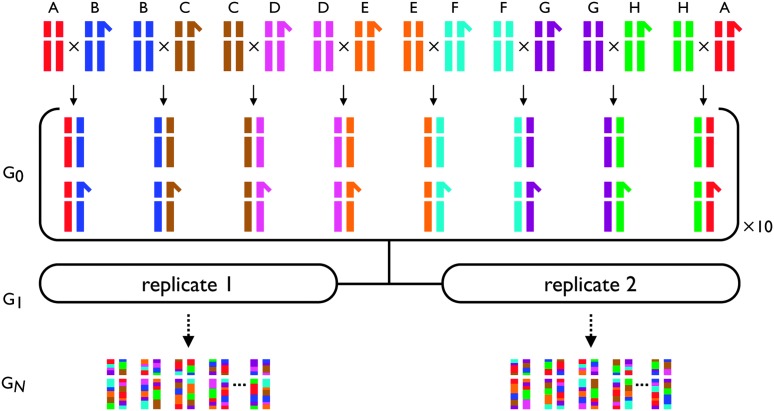 Figure 1.—