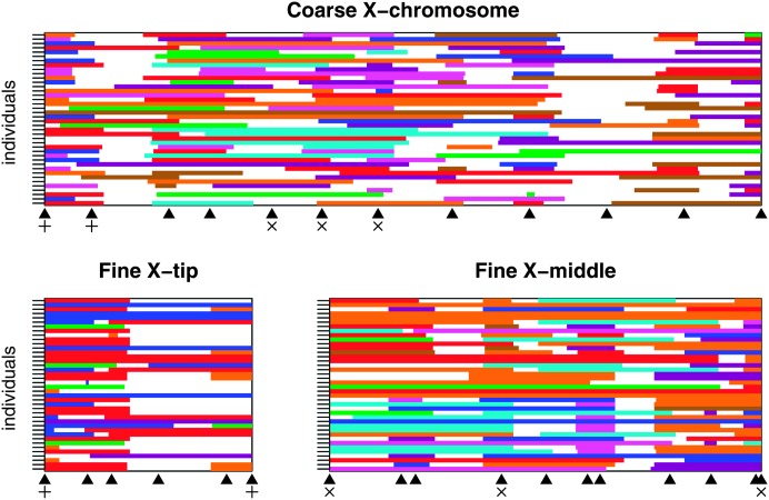 Figure 3.—