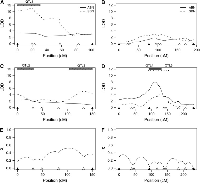 Figure 5.—