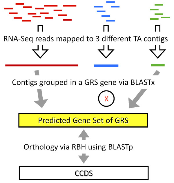 Figure 7