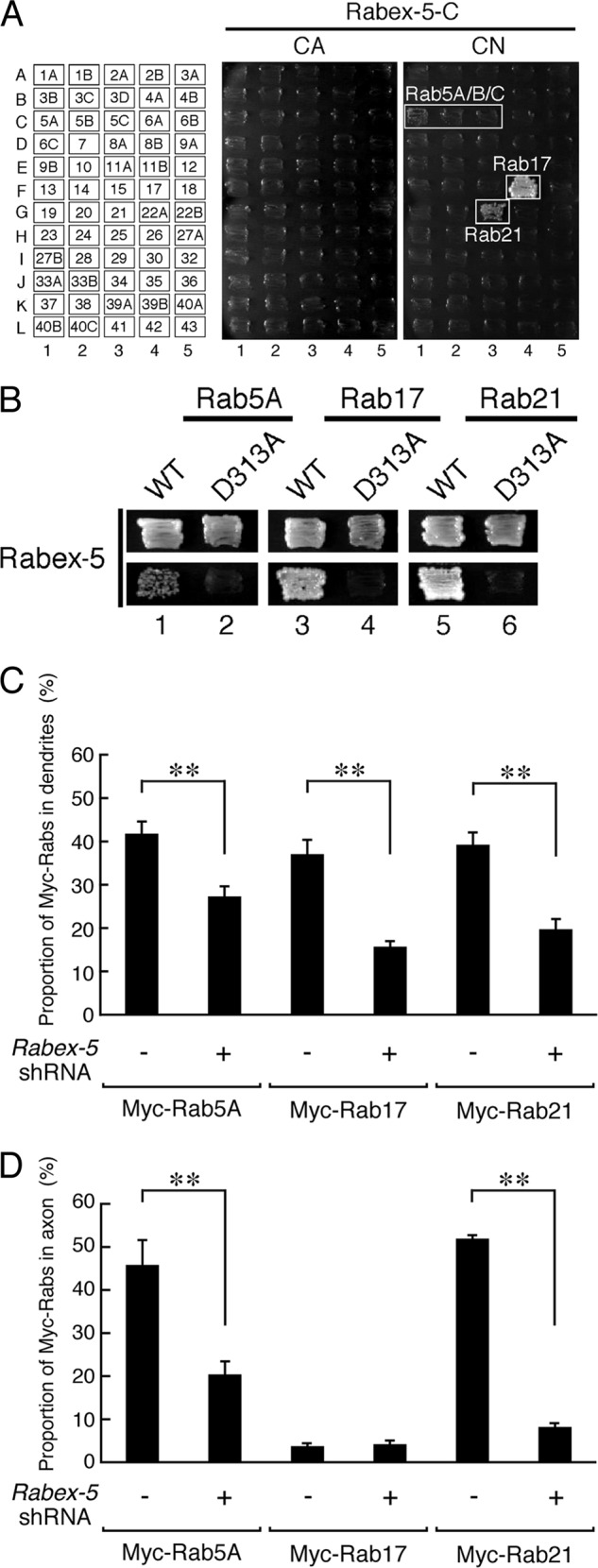 FIGURE 7.