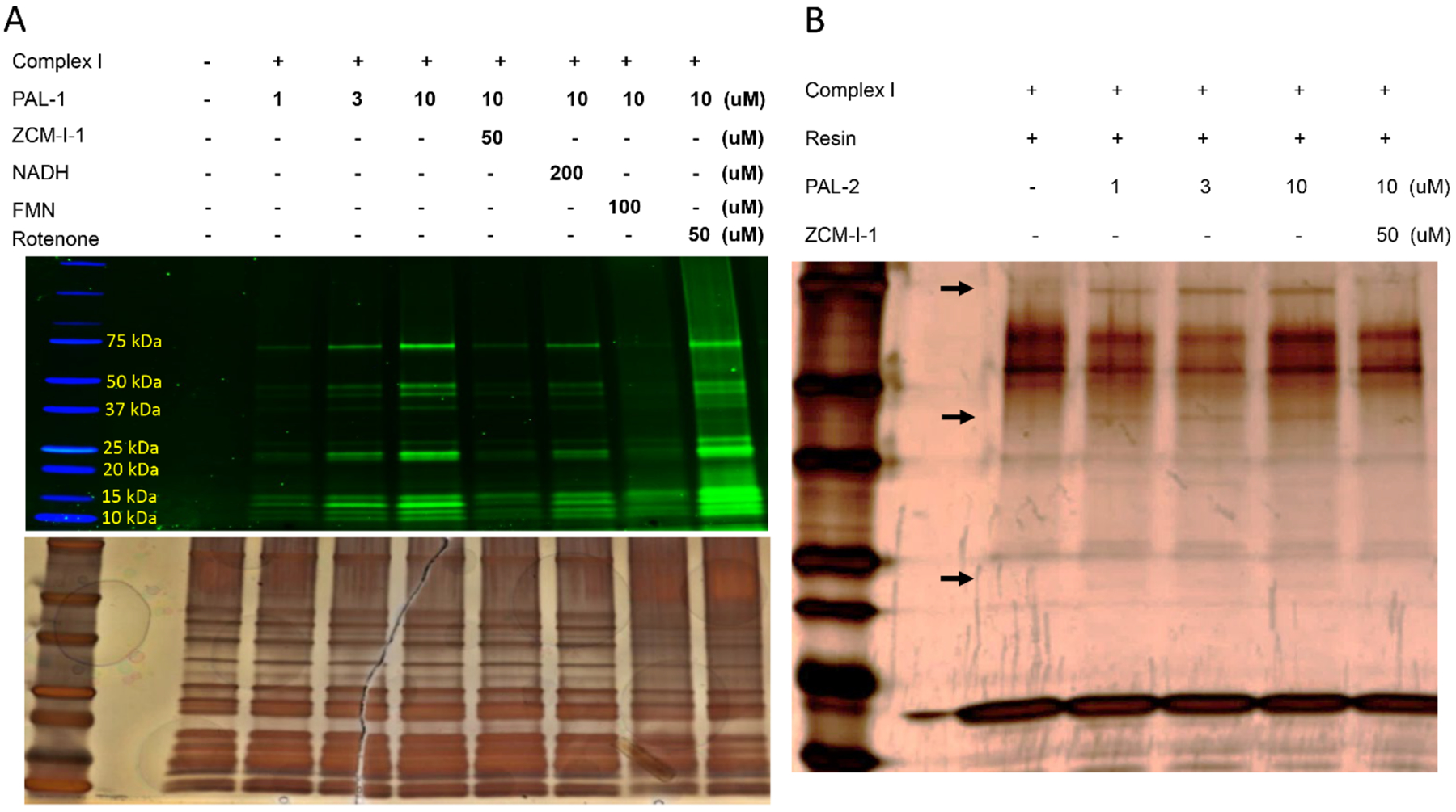 Figure 5.