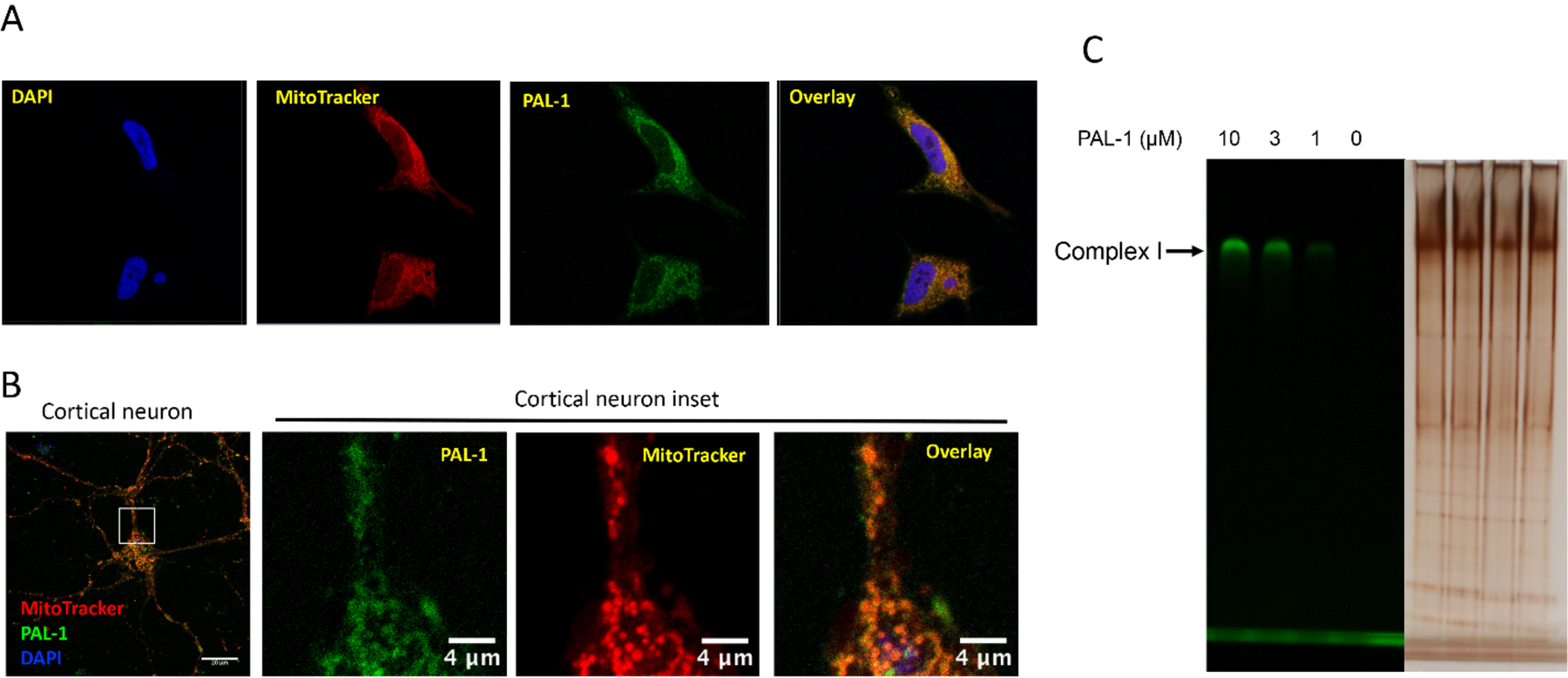 Figure 4.