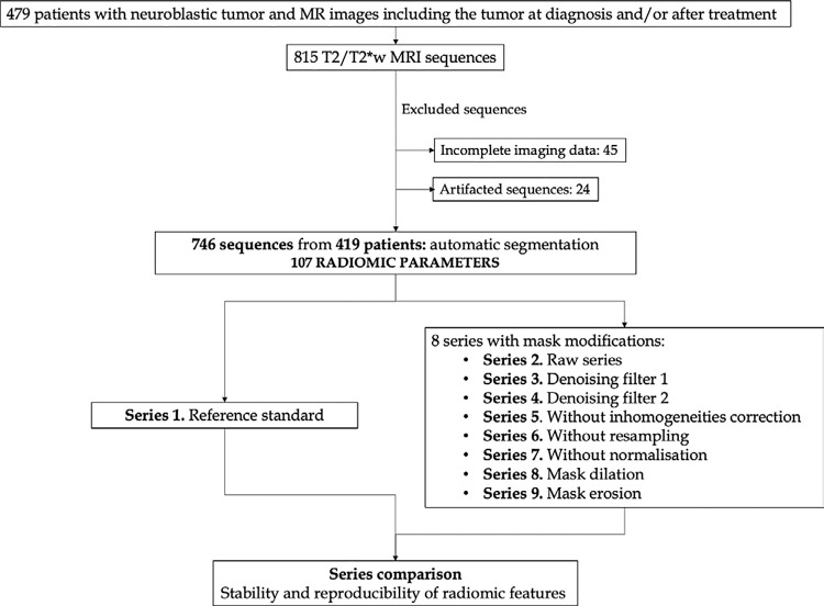 Flowchart of selected MR images and series. There were 419 selected patients with 815 T2/T2*-weighted MR images. After exclusion, 746 images remained. A total of 107 radiomics parameters were extracted (series 1). Eight different modifications were performed and compared with the original series to assess the stability and reproducibility of radiomics parameters.