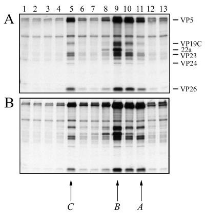 FIG. 5