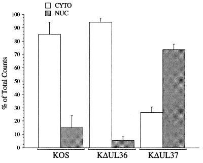 FIG. 10