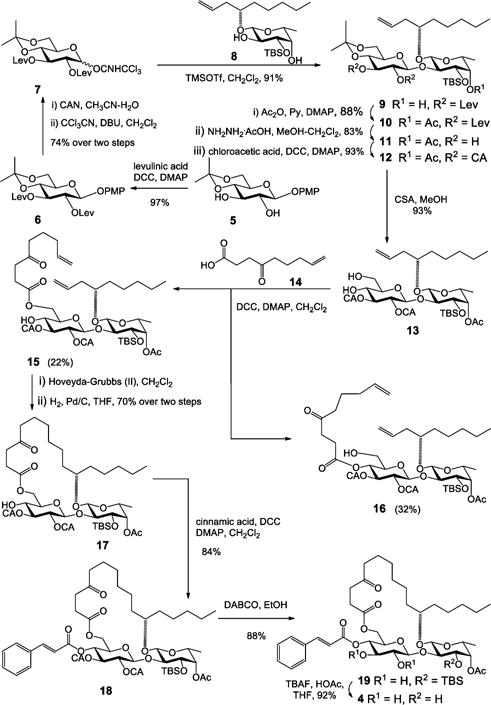 Scheme 1